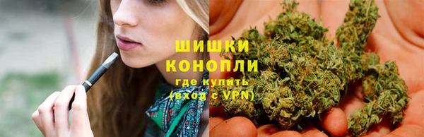 каннабис Аркадак