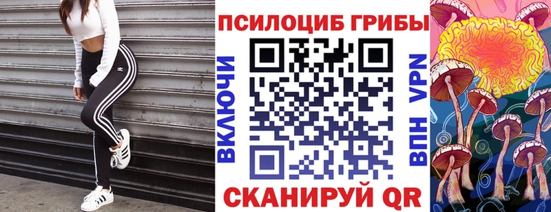 Псилоцибиновые грибы Psilocybe  Бор 